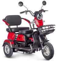 Электротрицикл Rutrike Gelbert Caf 48V/60V 600Вт Красный