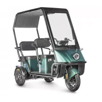 Электротрицикл Wanshida NIPLA 500 60V 1000Вт